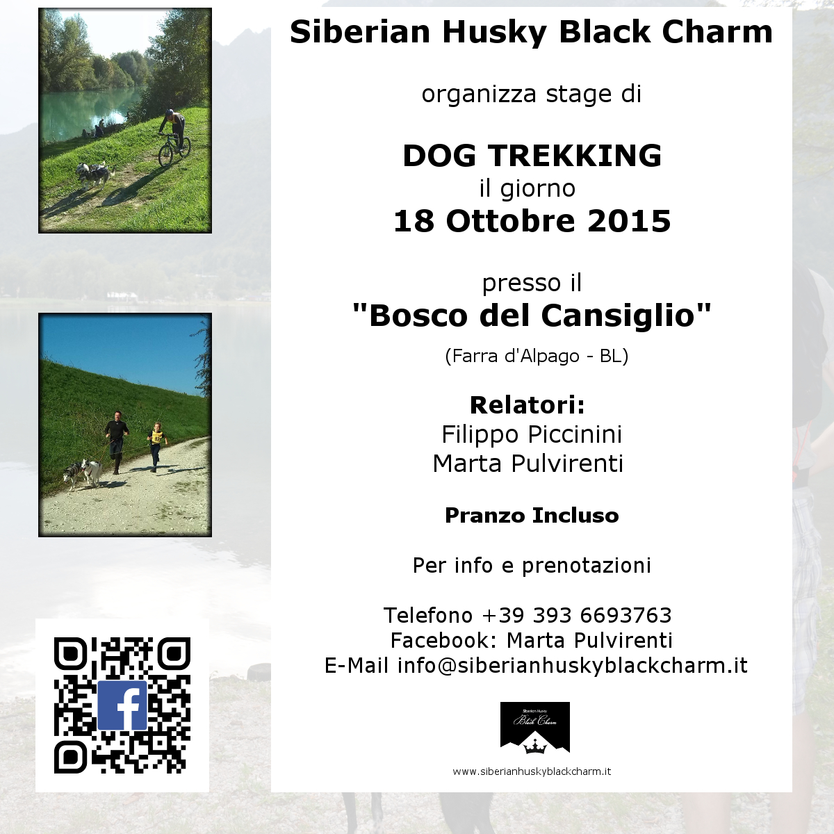 Dog Trekking Stage